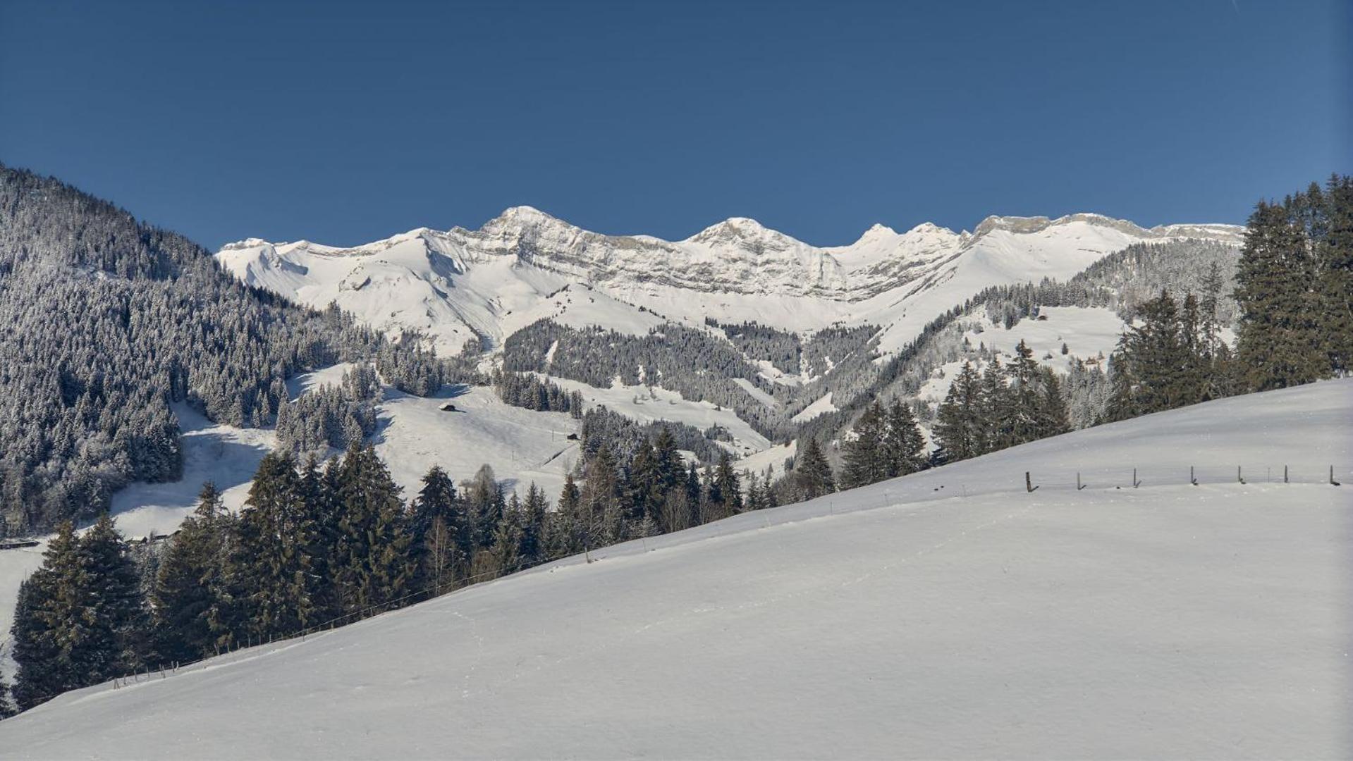 Renovated Chalet On Top Of The Picturesque Village Rougemont Exterior foto