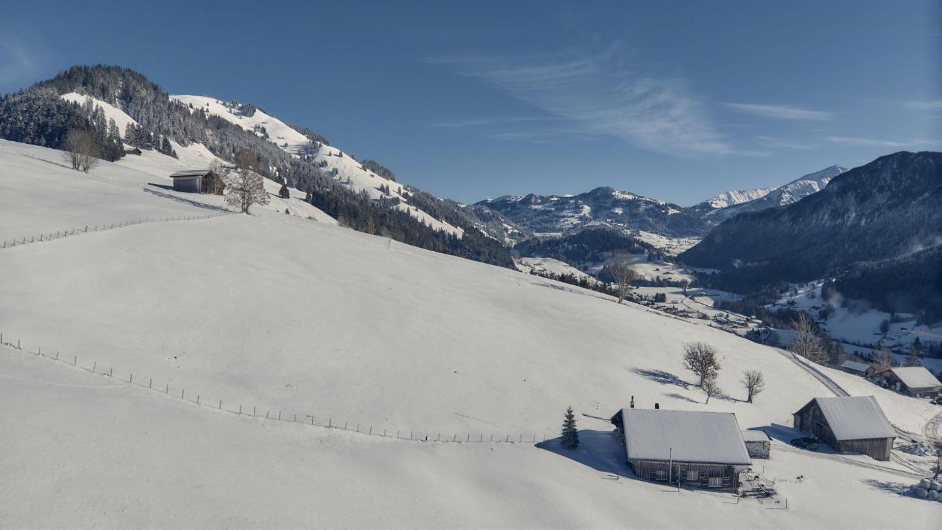 Renovated Chalet On Top Of The Picturesque Village Rougemont Exterior foto